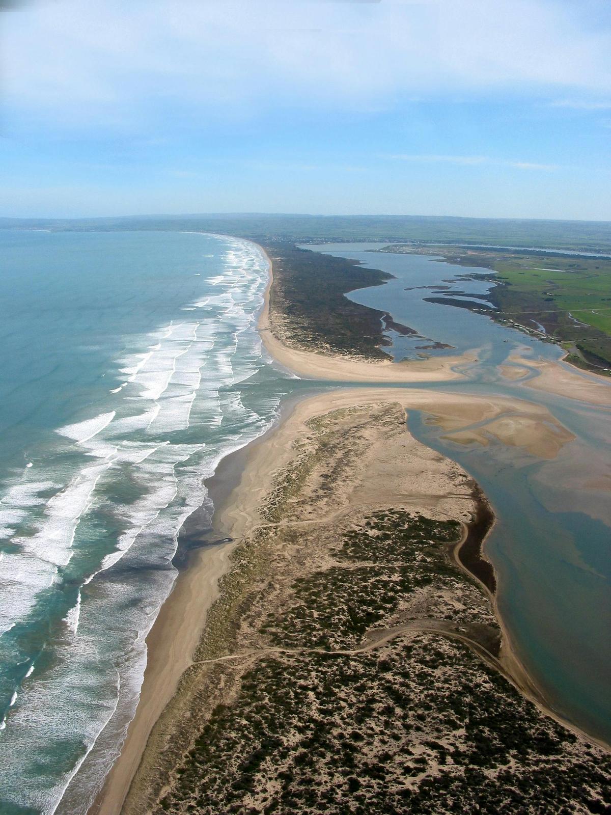 Murray Mouth