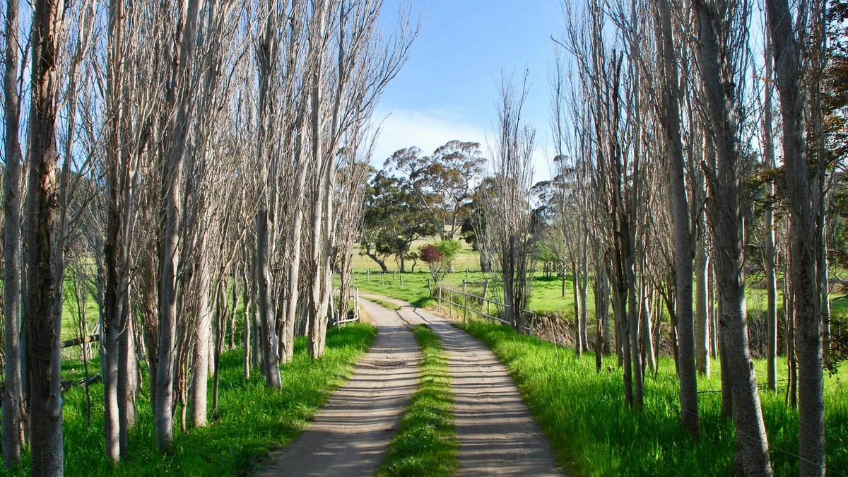 Green Pastures Retreat