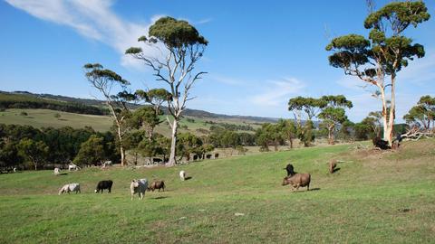 Green Pastures Retreat