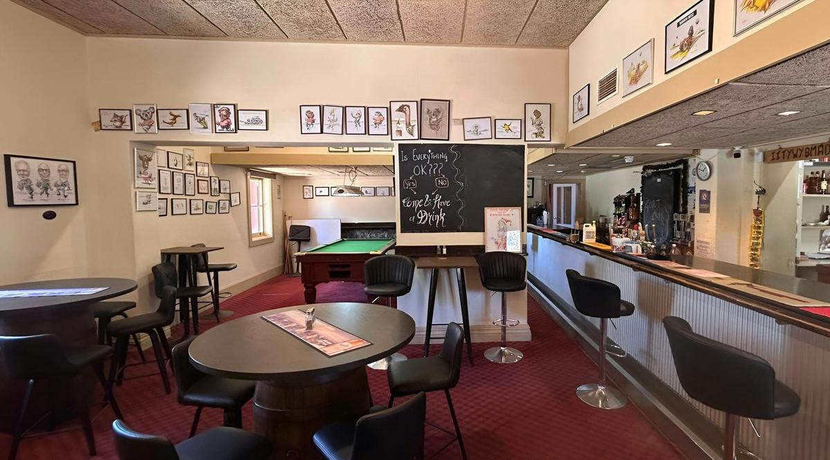 Cartoon Pub