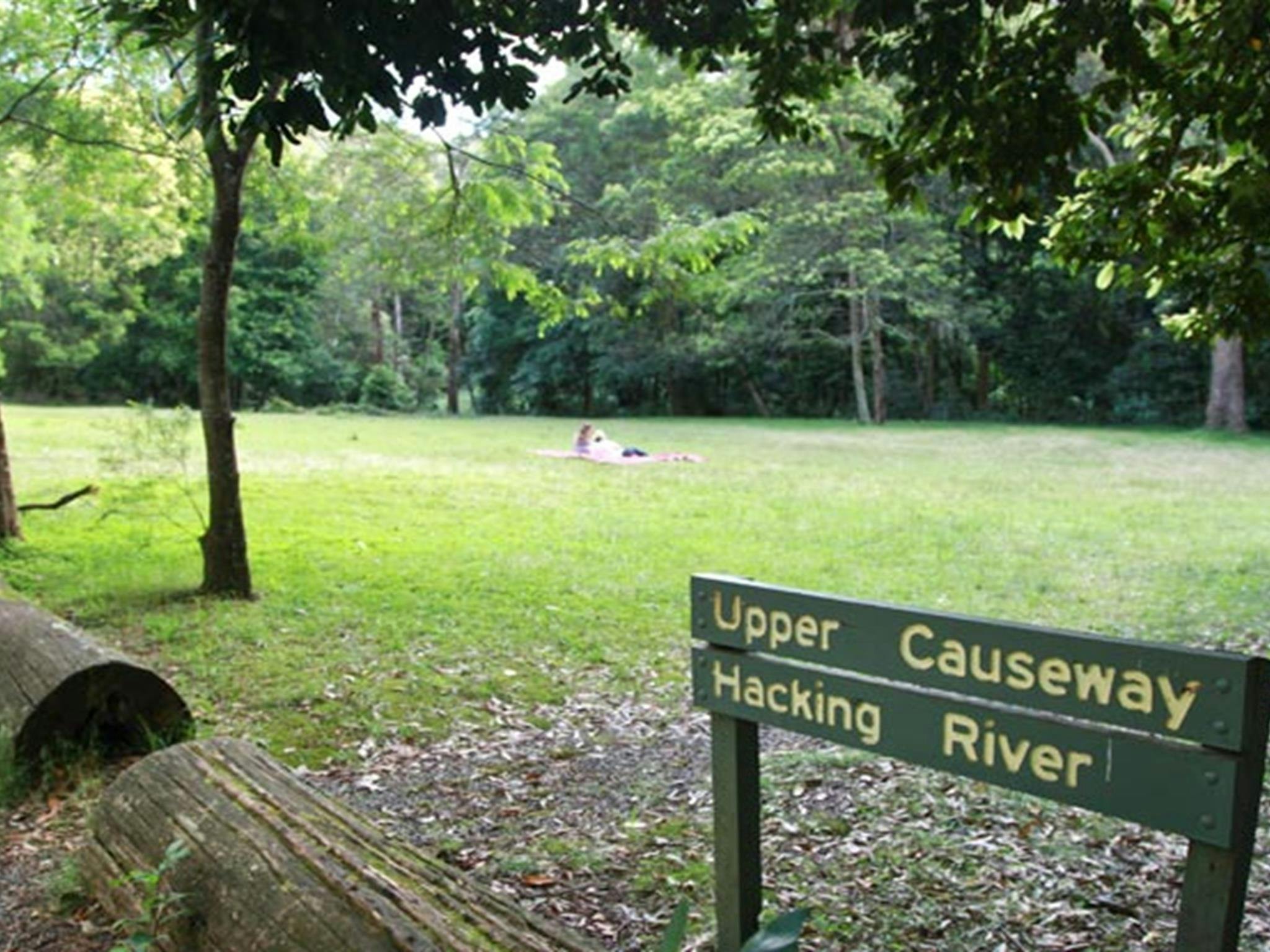 Upper Causeway picnic area, Royal National Park. Photo: Andy Richards/NSW Government