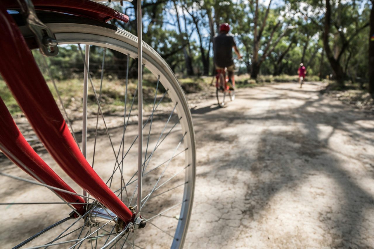 Hire a bike