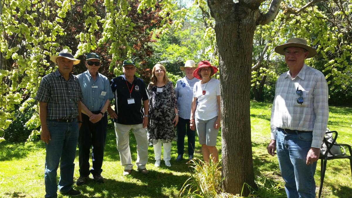 Hahndorf Hufendorf Walking Tour