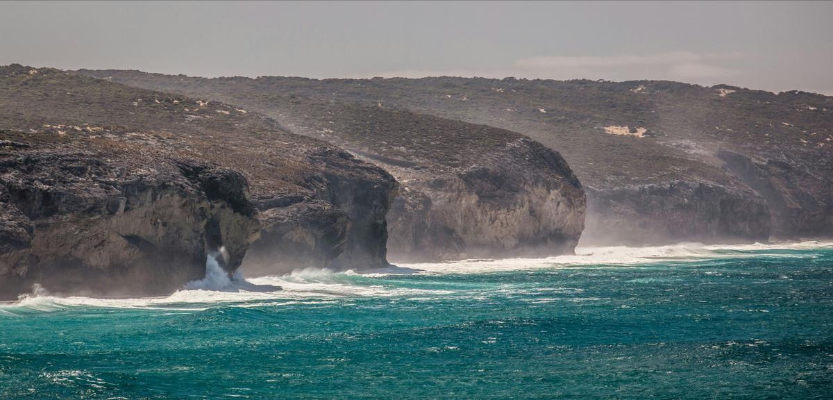 Wild and Free at Hanson Bay