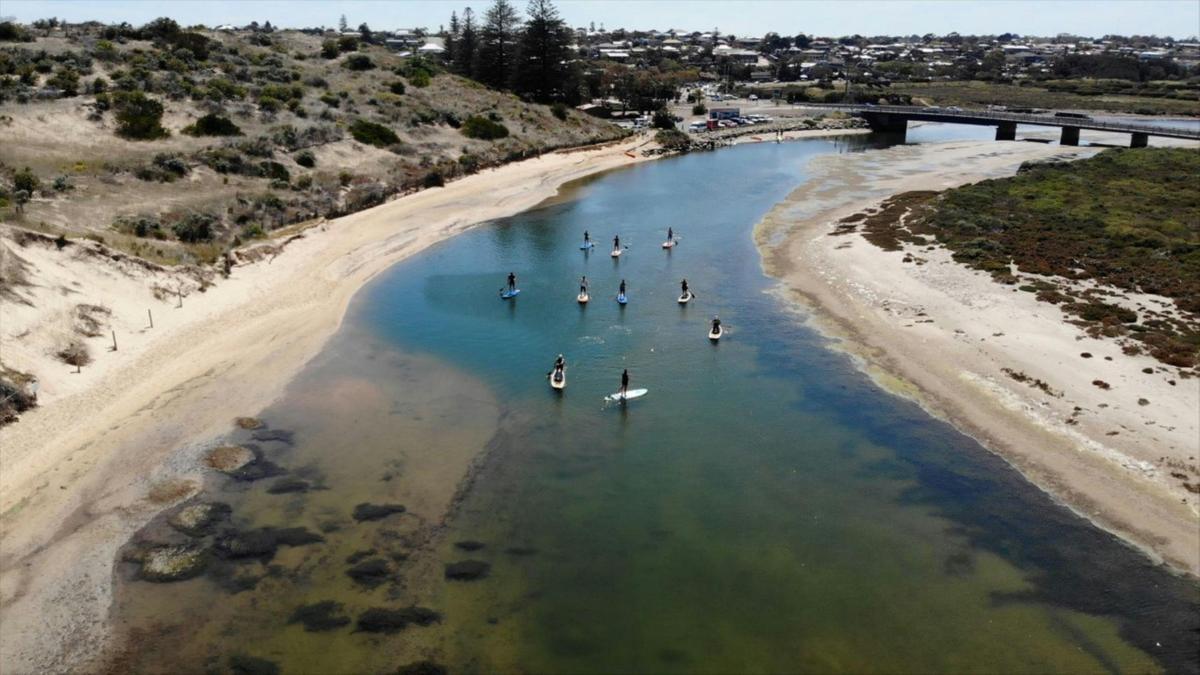 Coast to Vines - E-bike, Paddle Board and Wine Tour