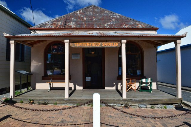 Tenterfield Saddler