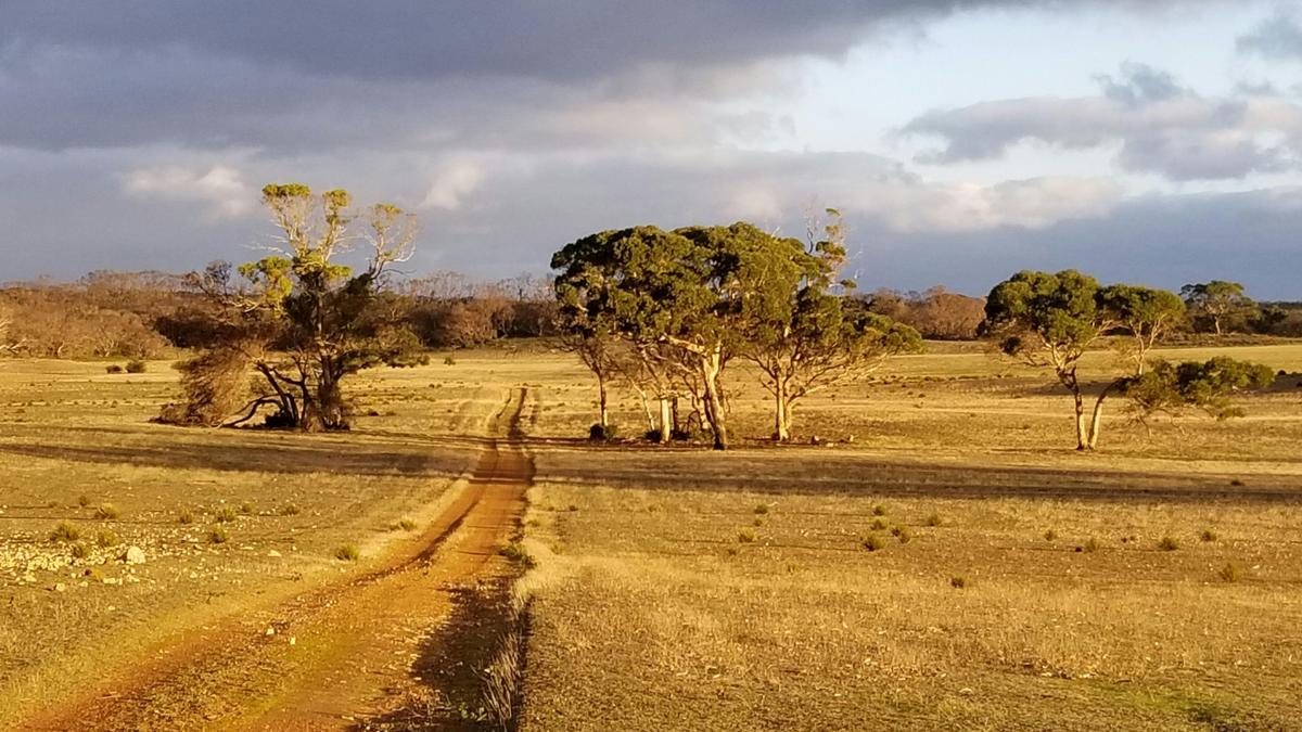 The private track leading to bush camp