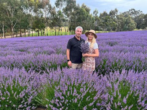 Hahndorf Lavender Estate Farm