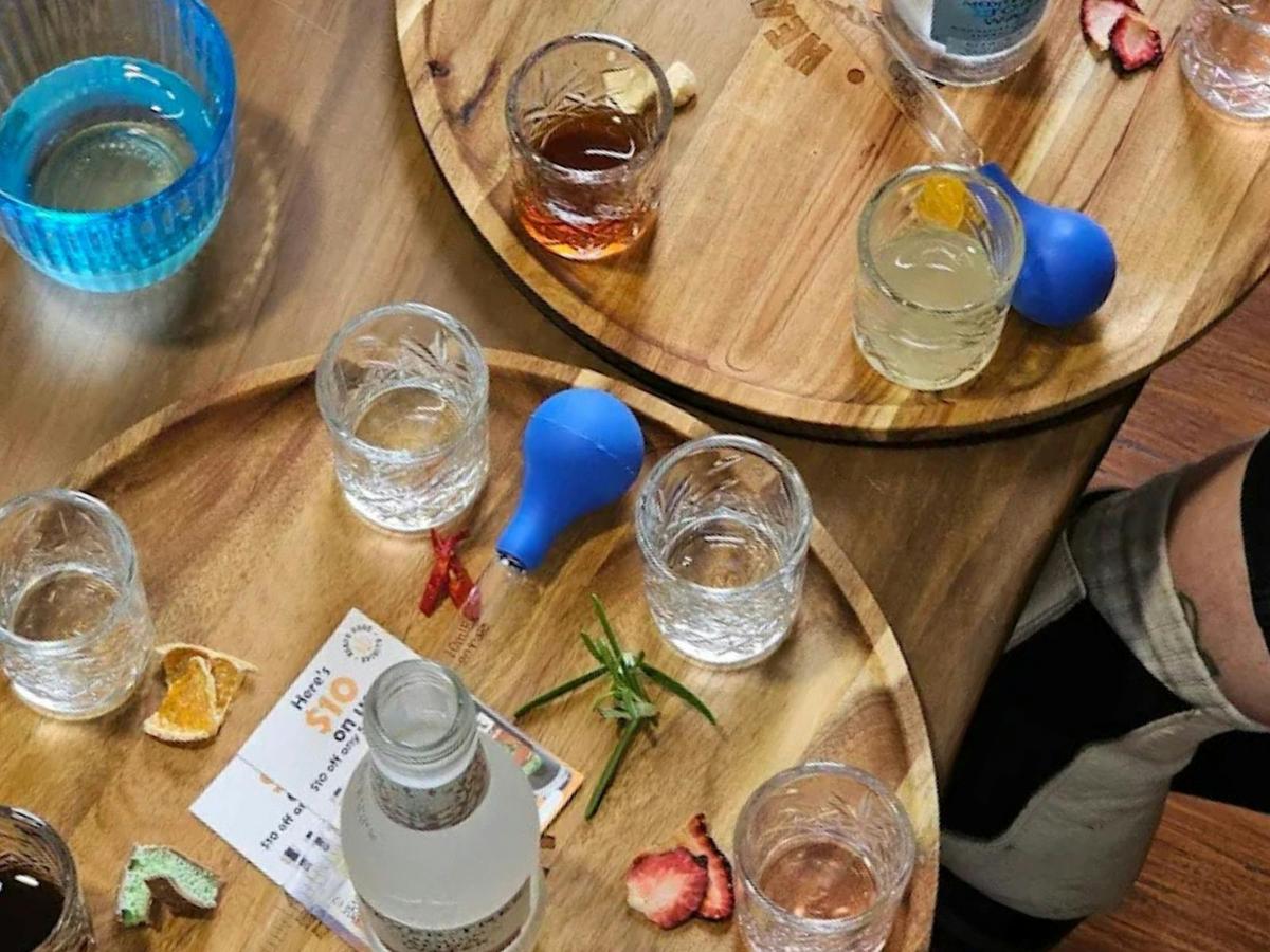 Shared gin and vodka tasting flights
