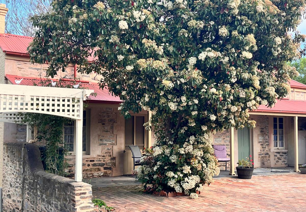 Manager Cottage