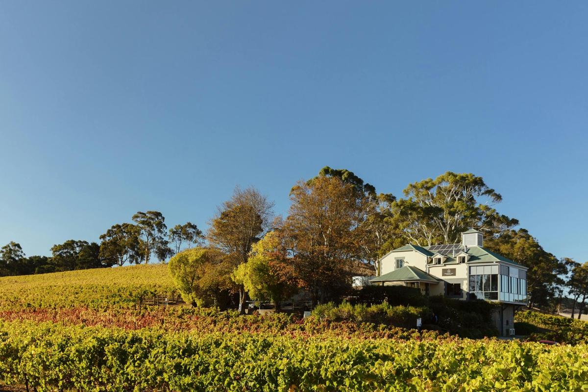 Hahndorf Hill Cellar Door