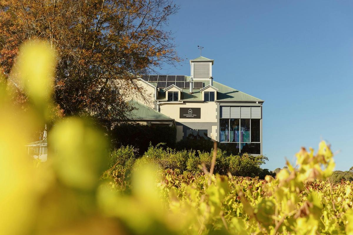 ChocoVino Wine and Chocolate Pairing at Hahndorf Hill