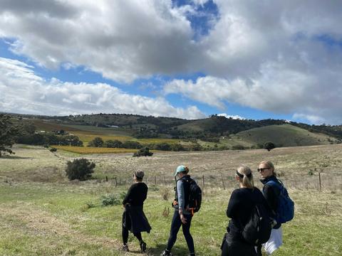 Barossa Valley Wine and Walk