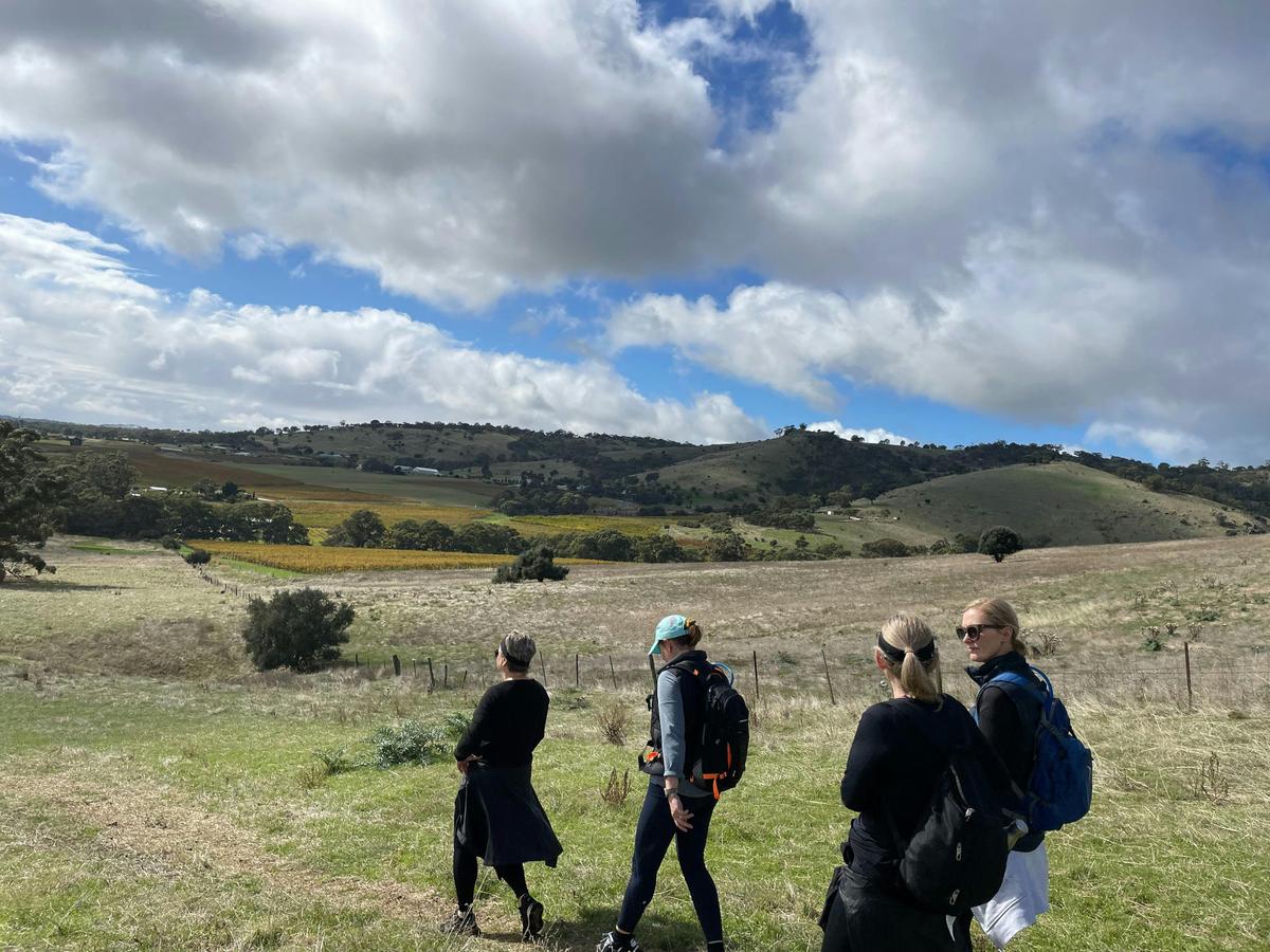 Barossa Valley Wine and Walk