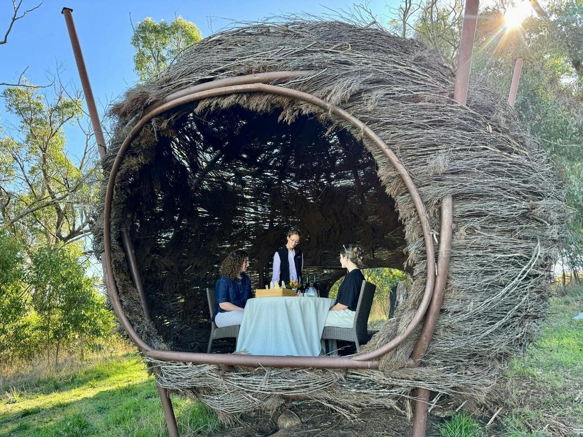 The Perch Experience
