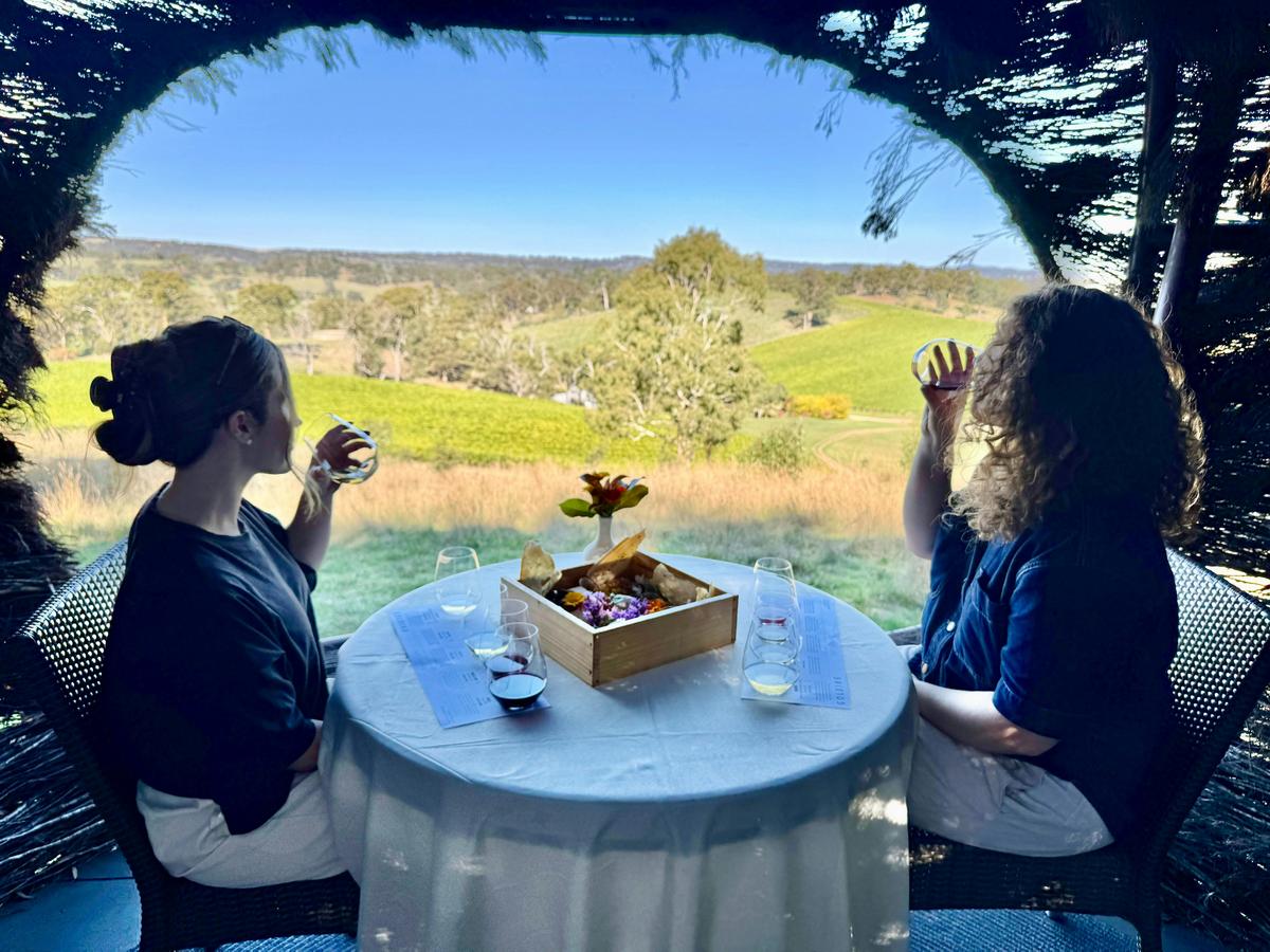 The Perch Experience