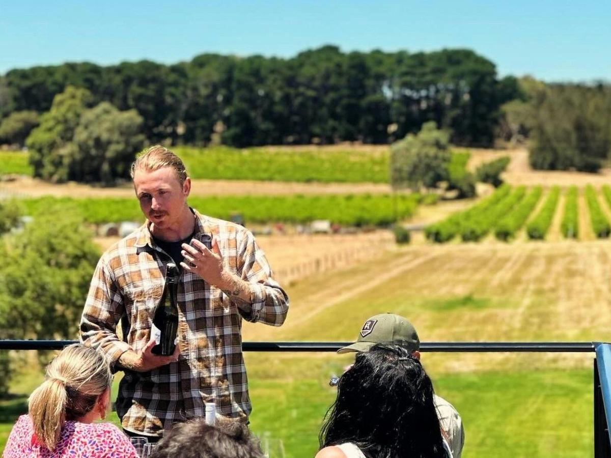 Guided Tasting Experience