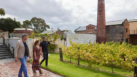 Hardys Wine Experiences