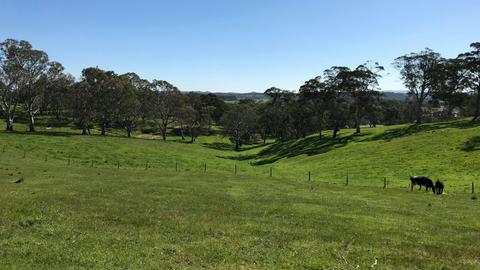 Hay Valley Farm