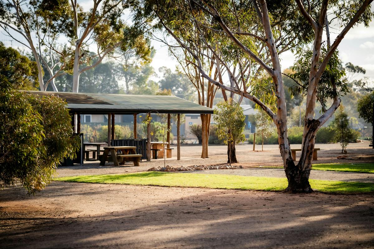 Grassed Sites and BBQ Area