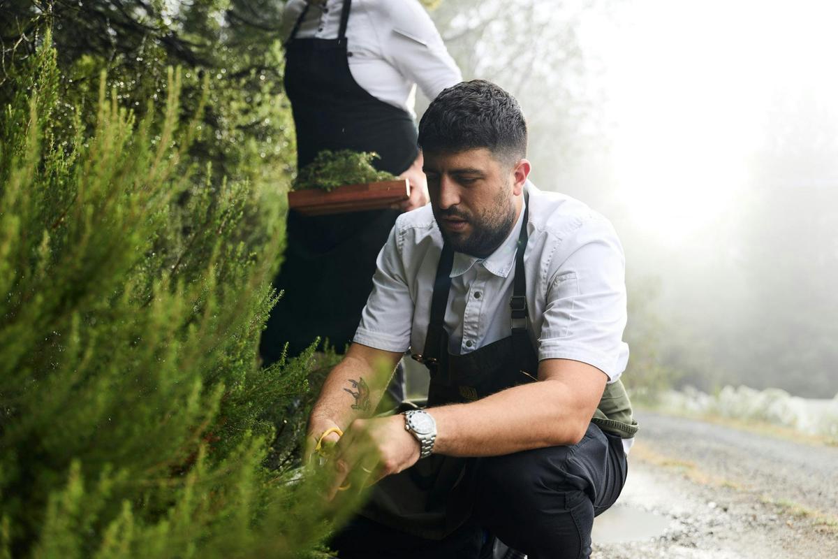 Chef Alessandro