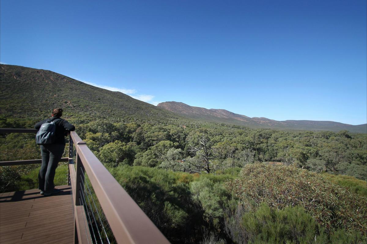 wilpena-pound