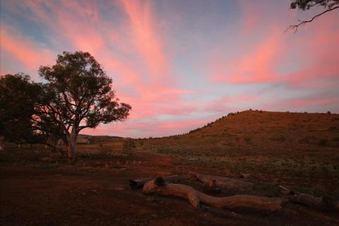 Ikara-Flinders Ranges National Park