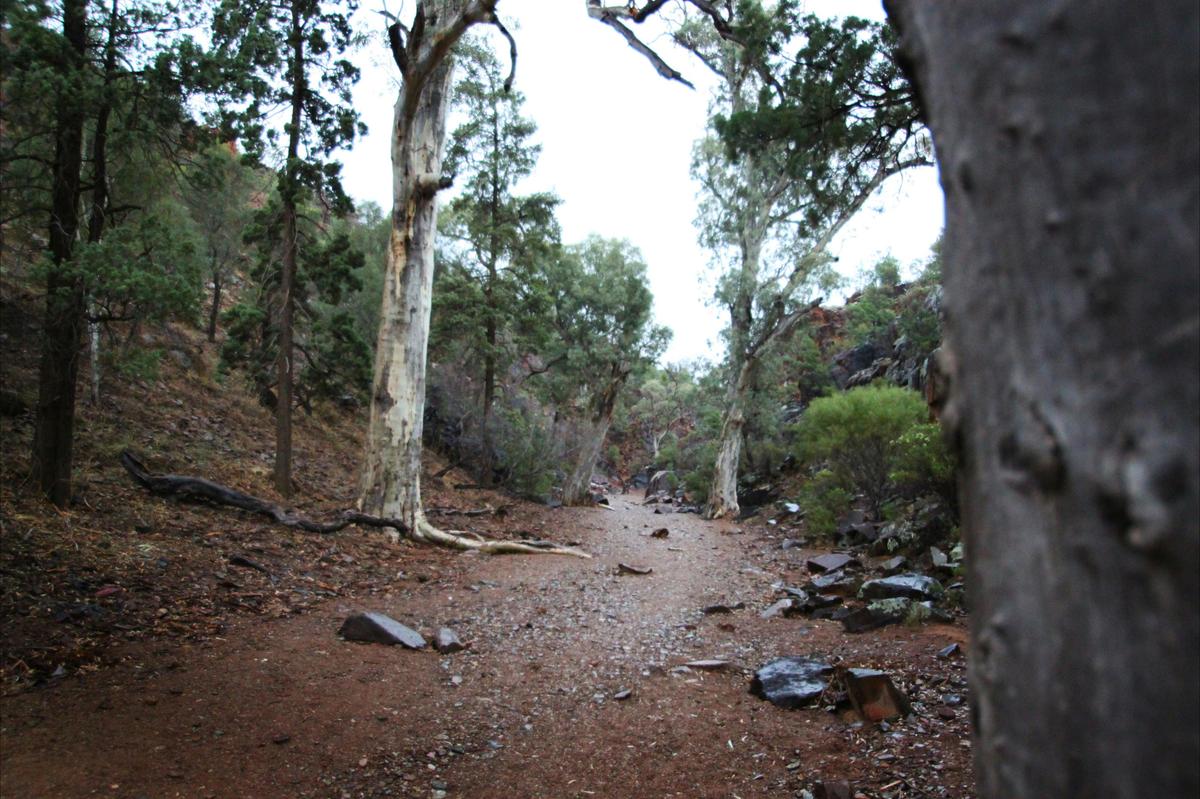 flinders-ranges