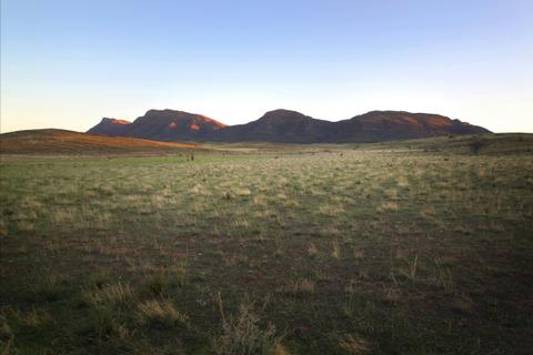 Ikara-Flinders Ranges National Park