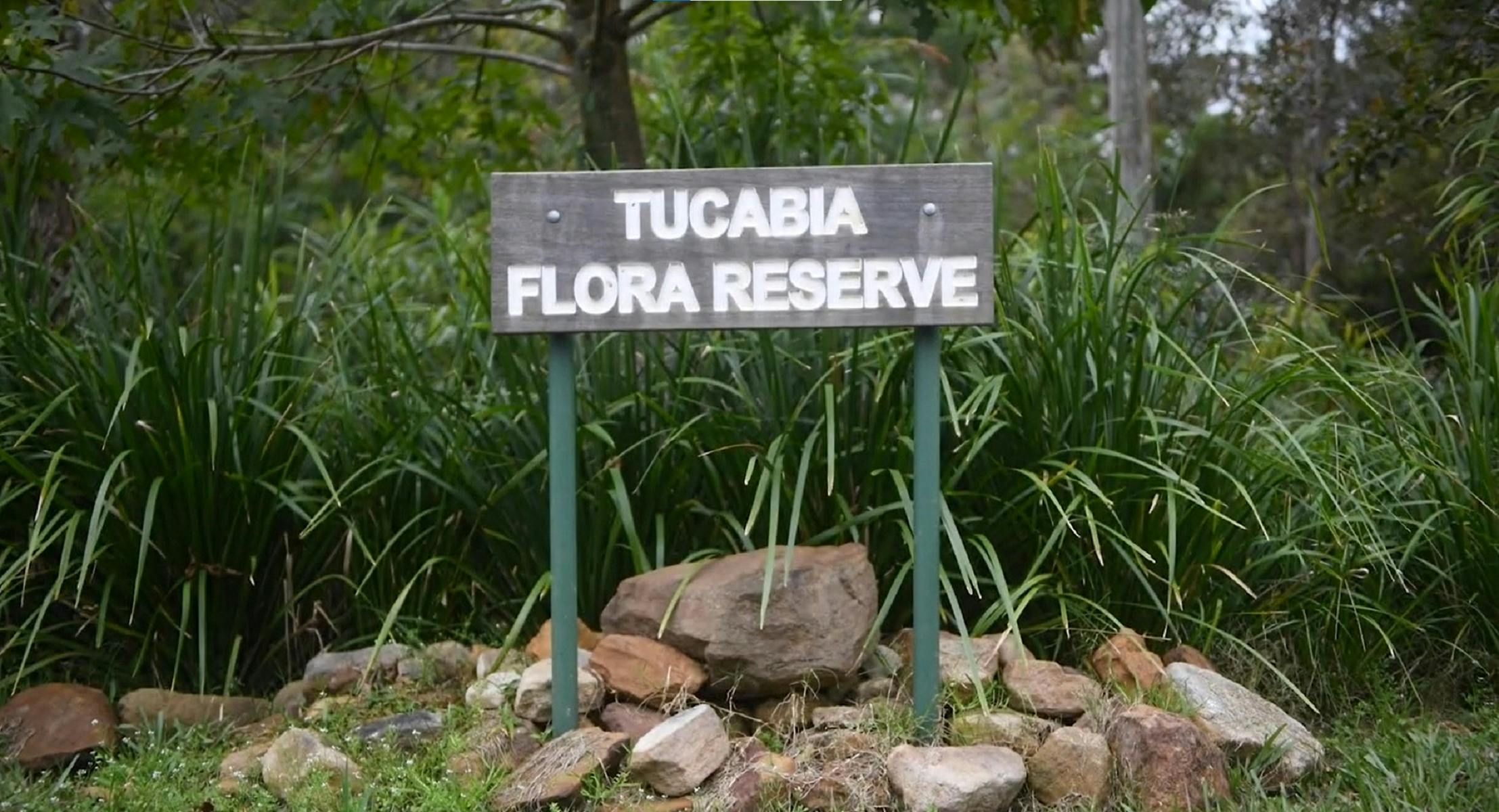 Tucabia Flora Reserve
