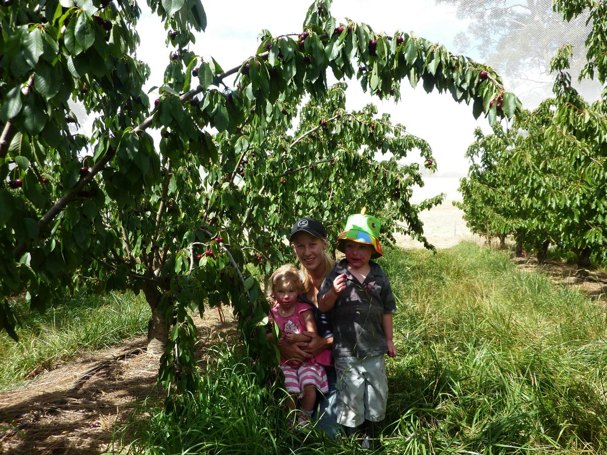 Cherry Picking is Fun for All