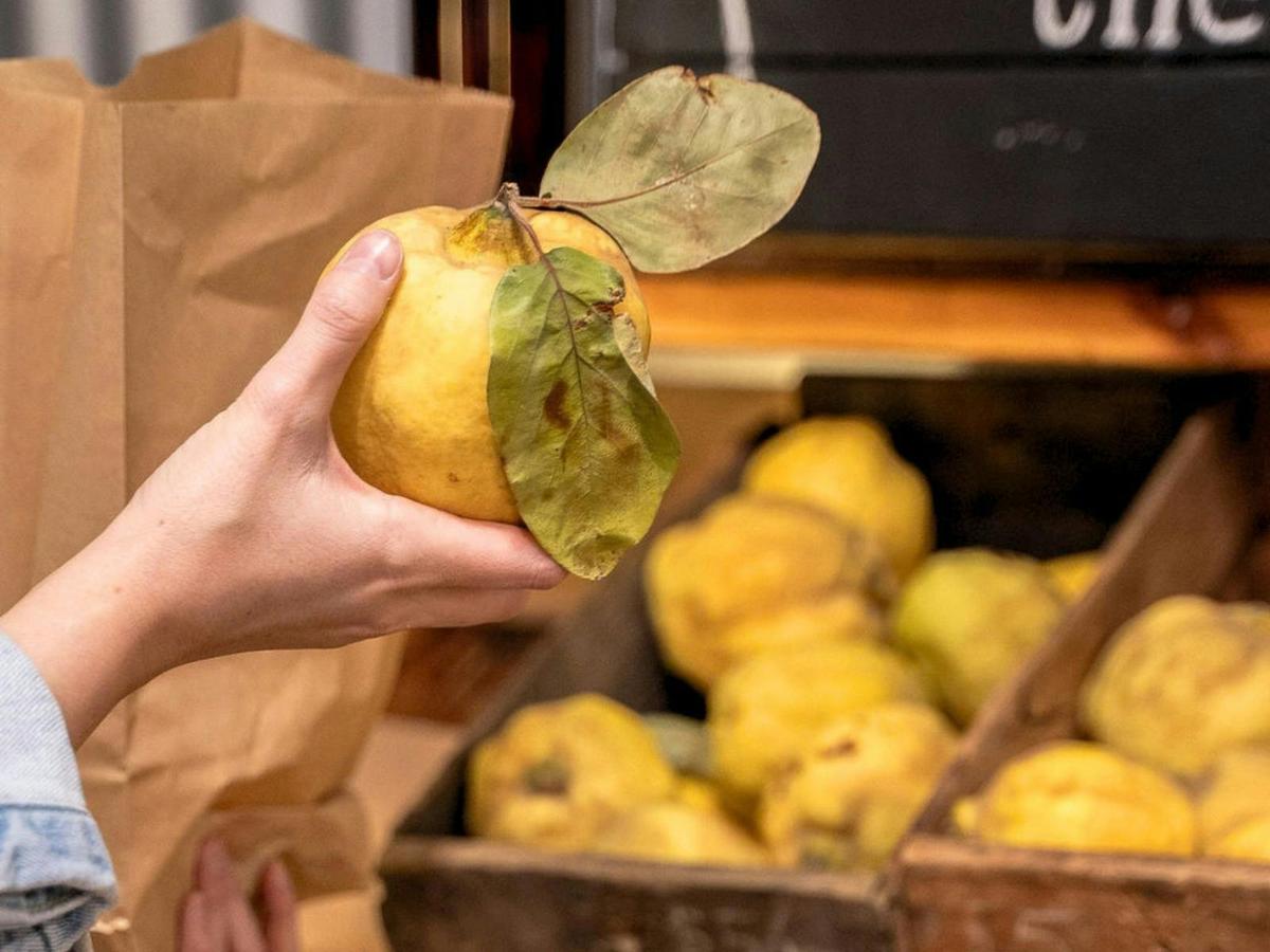 Quinces at the Farmshop