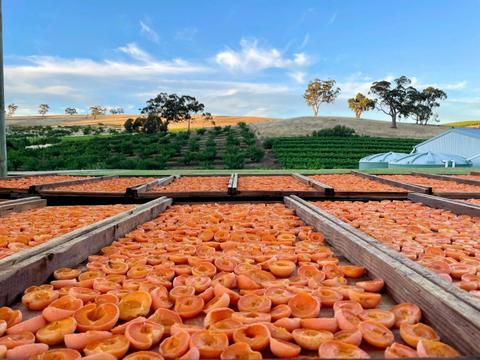 Gully Gardens Barossa