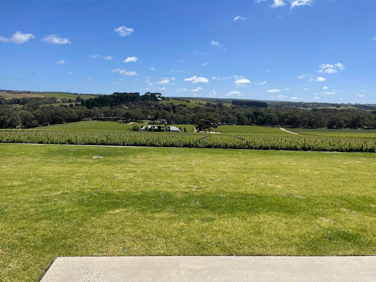 HELI LUNCH - McLaren Vale - Beresford Estate