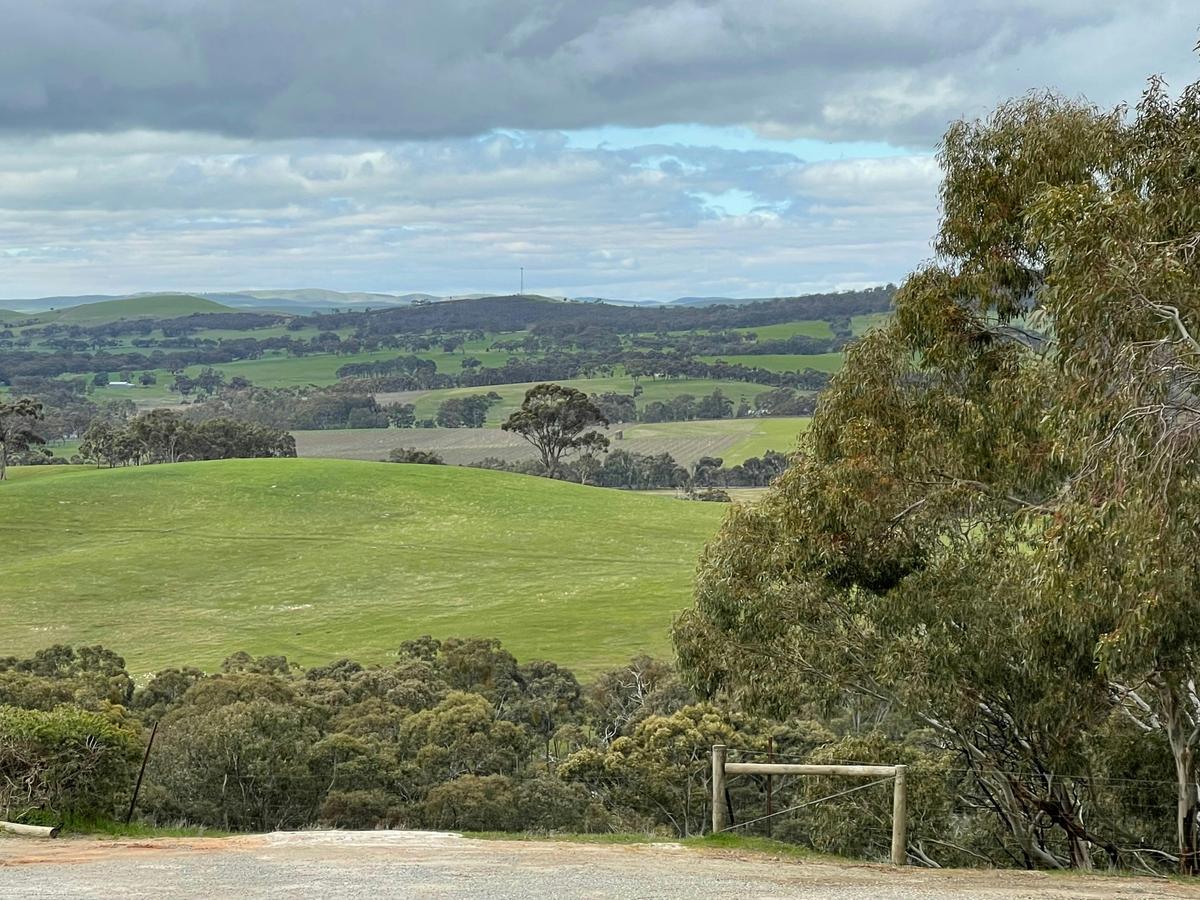 HELI LUNCH - Clare Valley - Paulett Wines