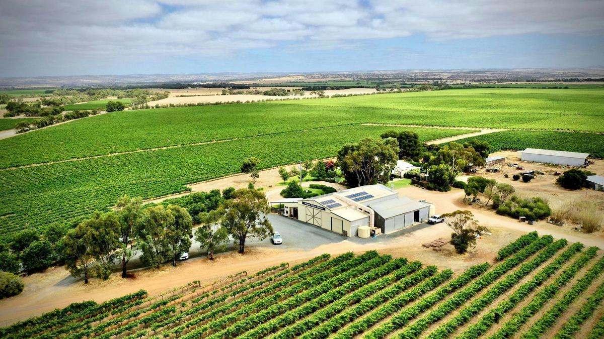 HELI LUNCH - Langhorne Creek - Angas Plains Estate
