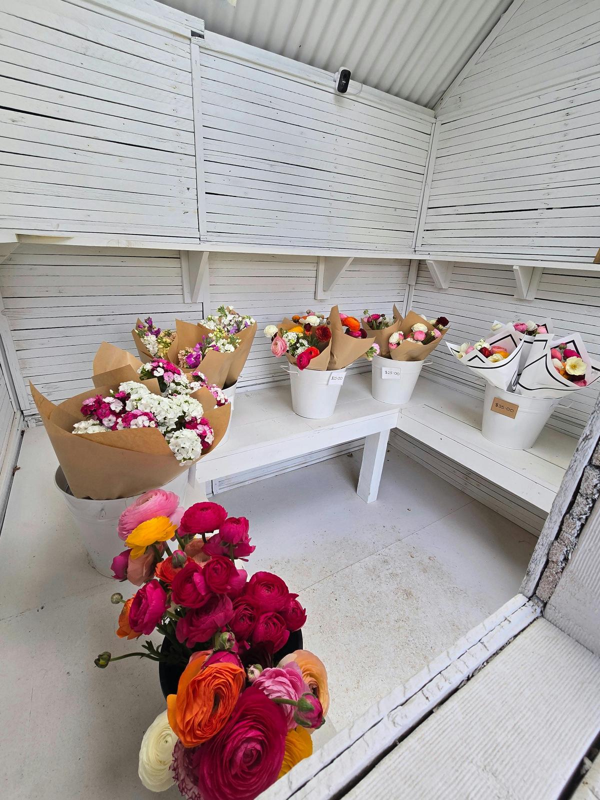 Roadside Stall in Full Bloom
