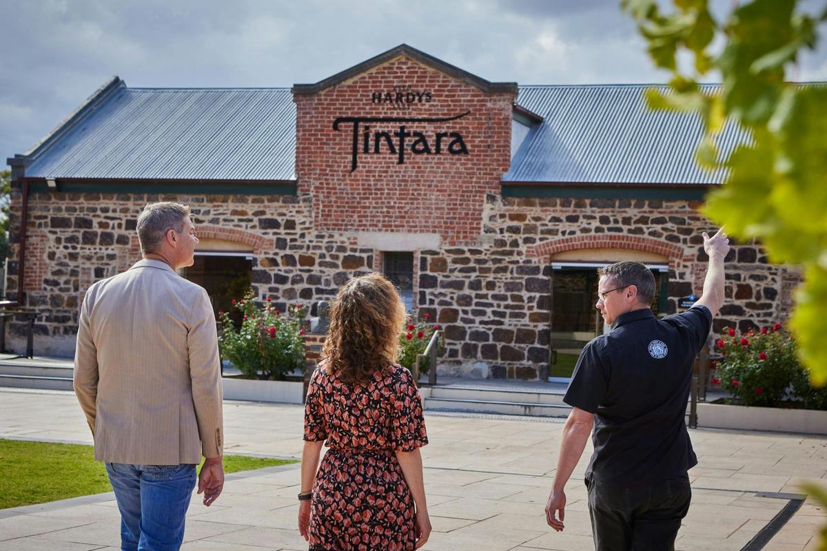 Hardys Tintara wine tour