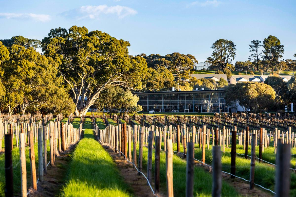 Harvest Kitchen Venue at Jacob's Creek Visitor Centre