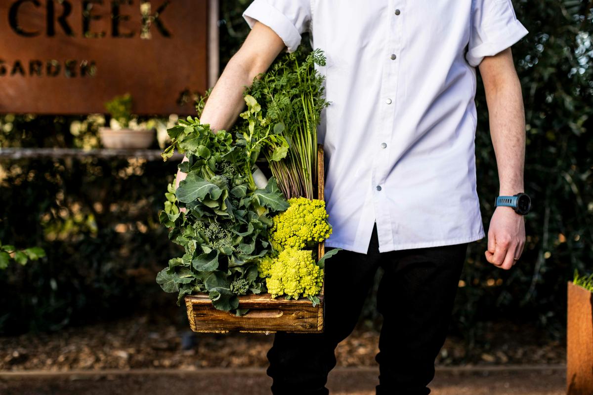Garden Harvest