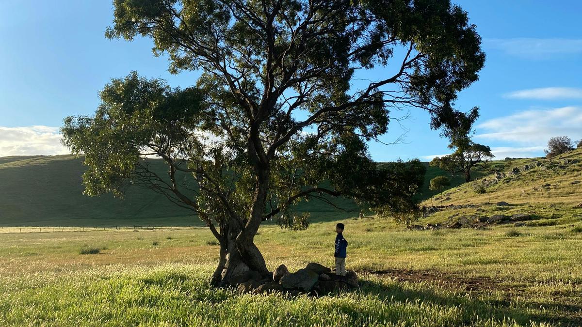 Gum Gully Heights, Rockleigh SA