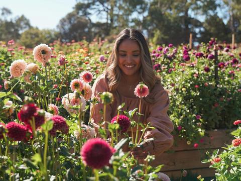 Hahndorf Flower Farm