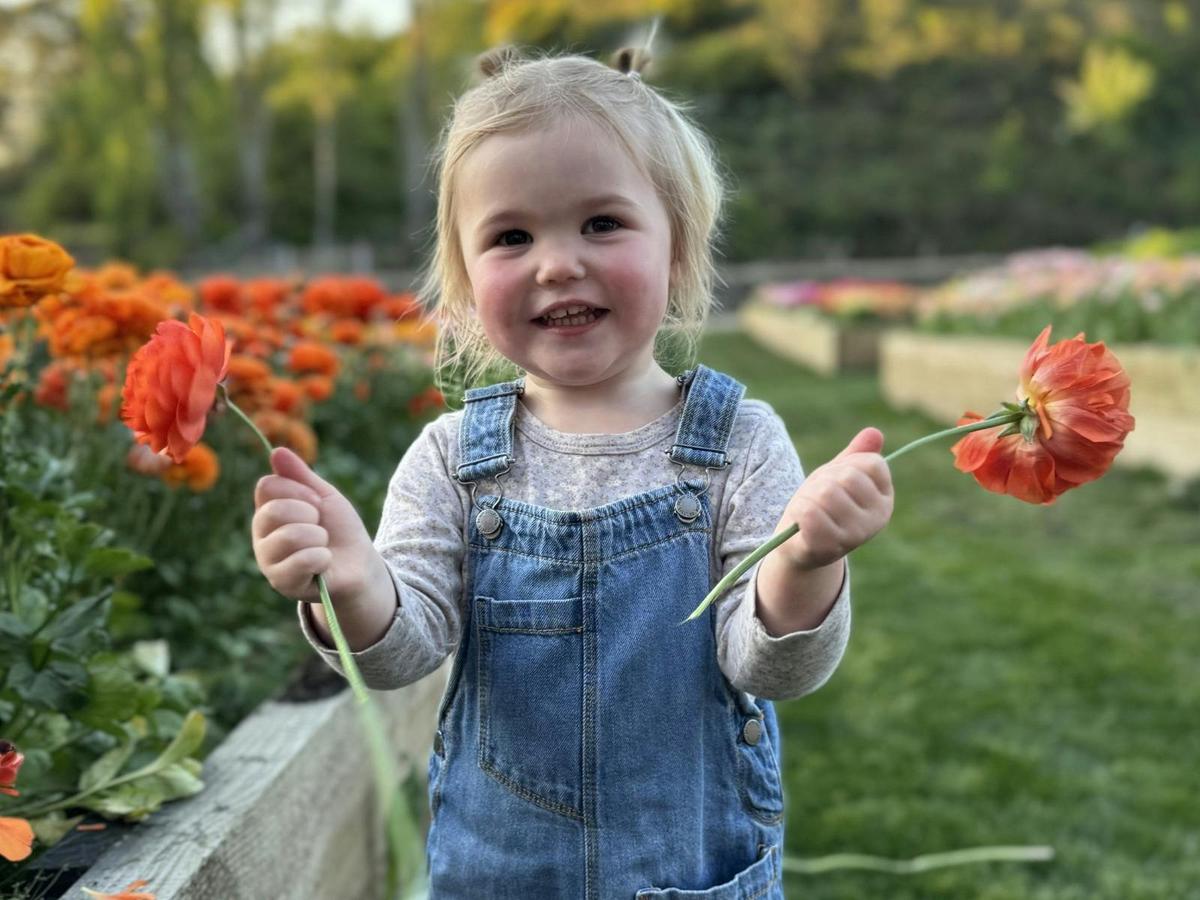 Pick-Your-Own Flower Experience