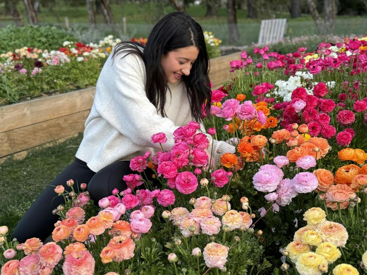 Pick-Your-Own Flower Experience
