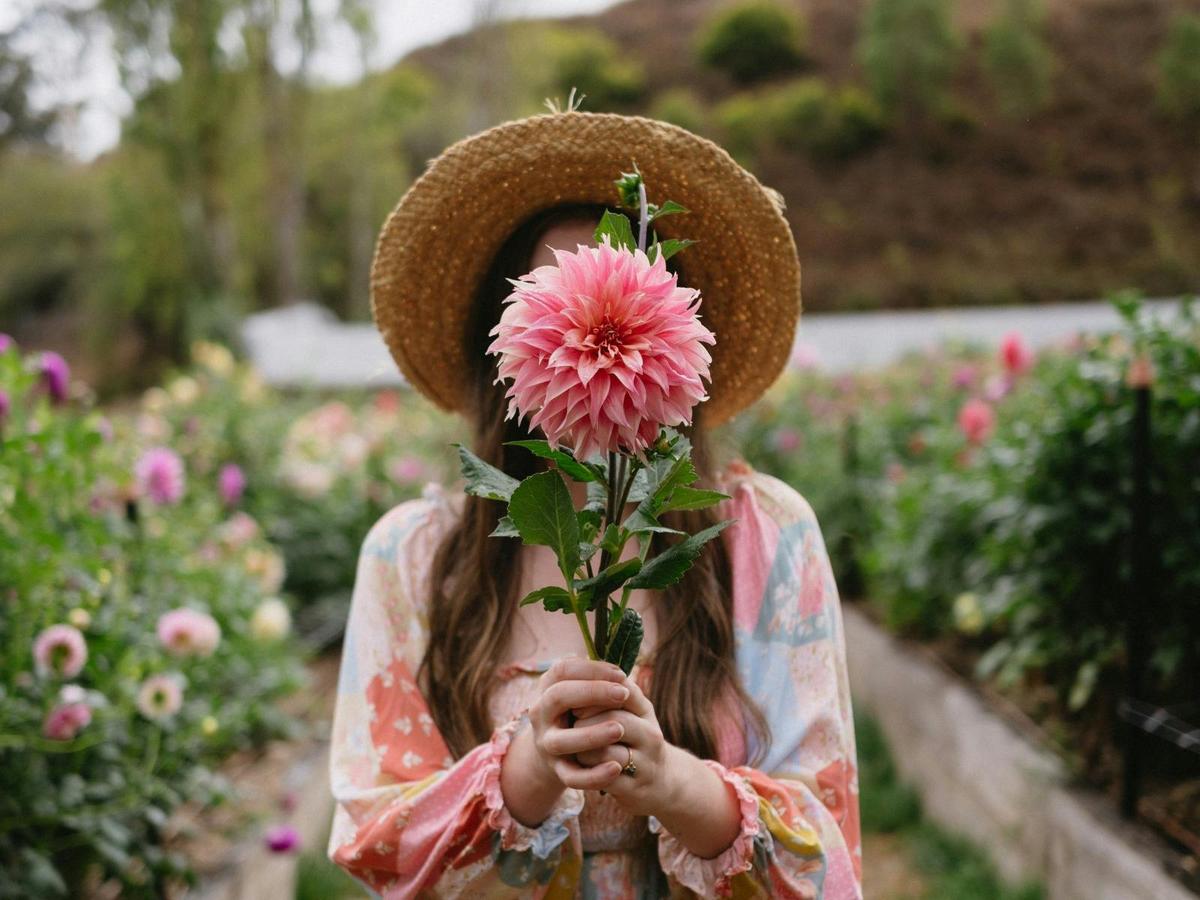 Pick-Your-Own Flower Experience
