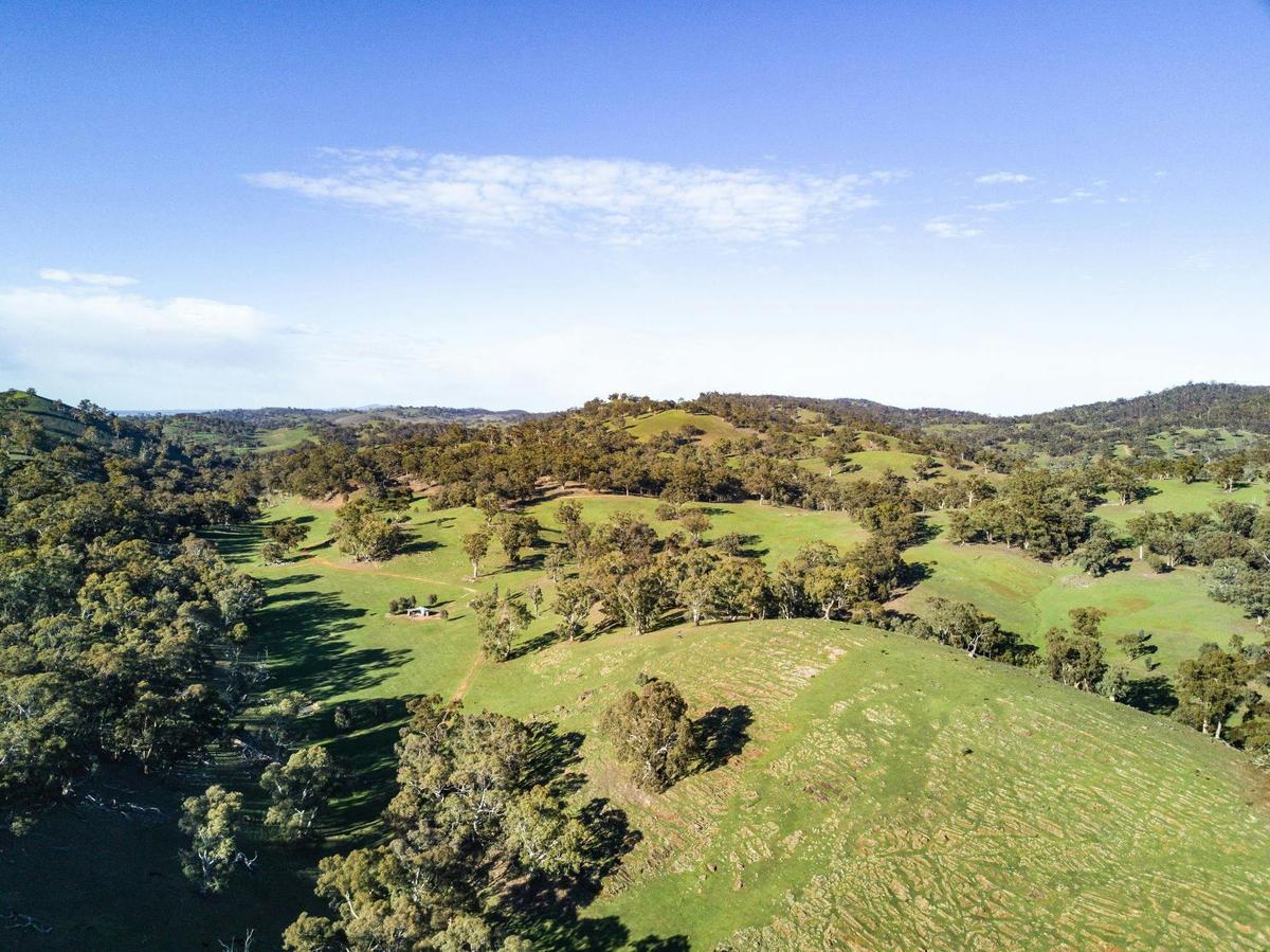 Birds-eye view of Mount Remarkable National Park