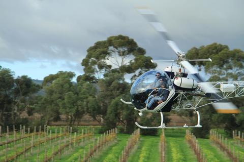 Helivista