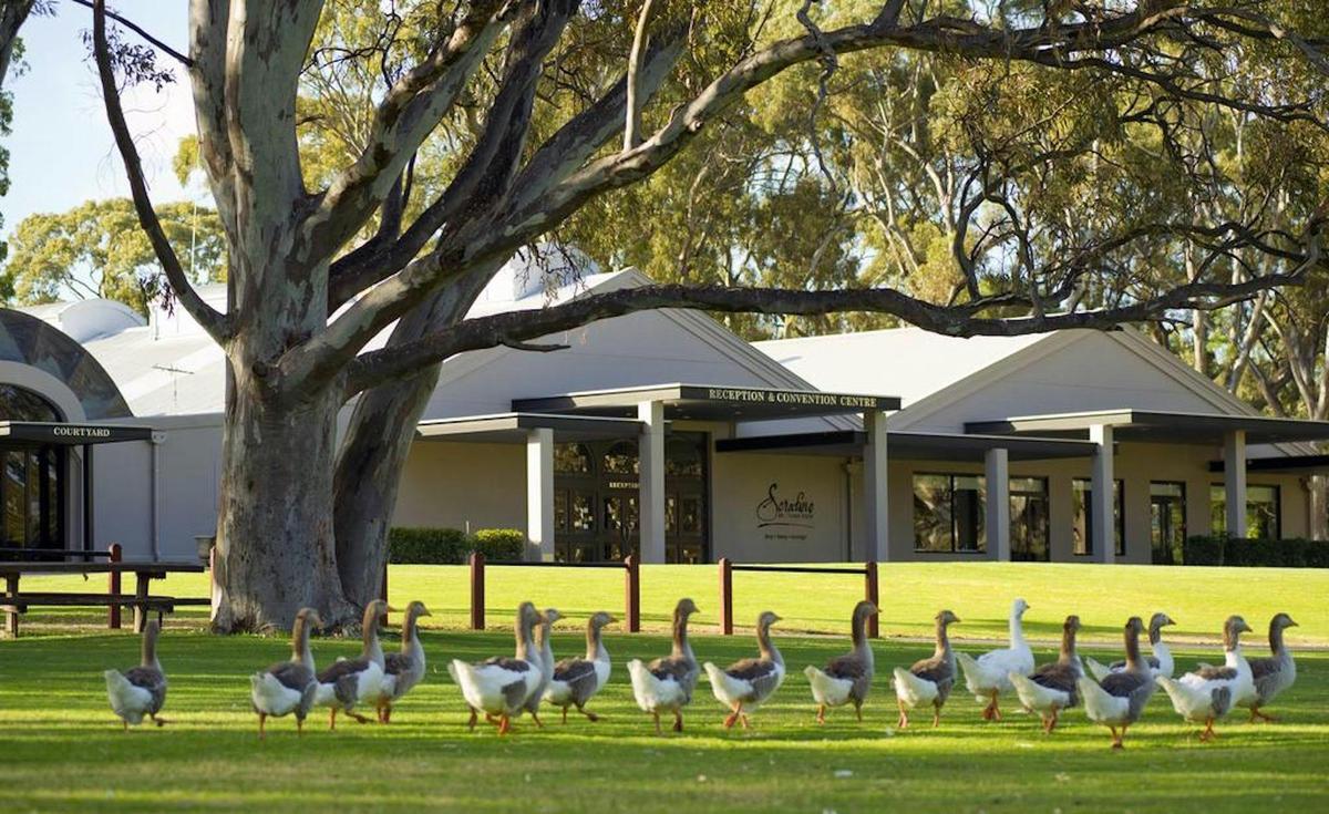 Heli Lunch - McLaren Vale - Serafino
