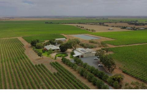 Heli Lunch - Langhorne Creek - Angas Plains Estate