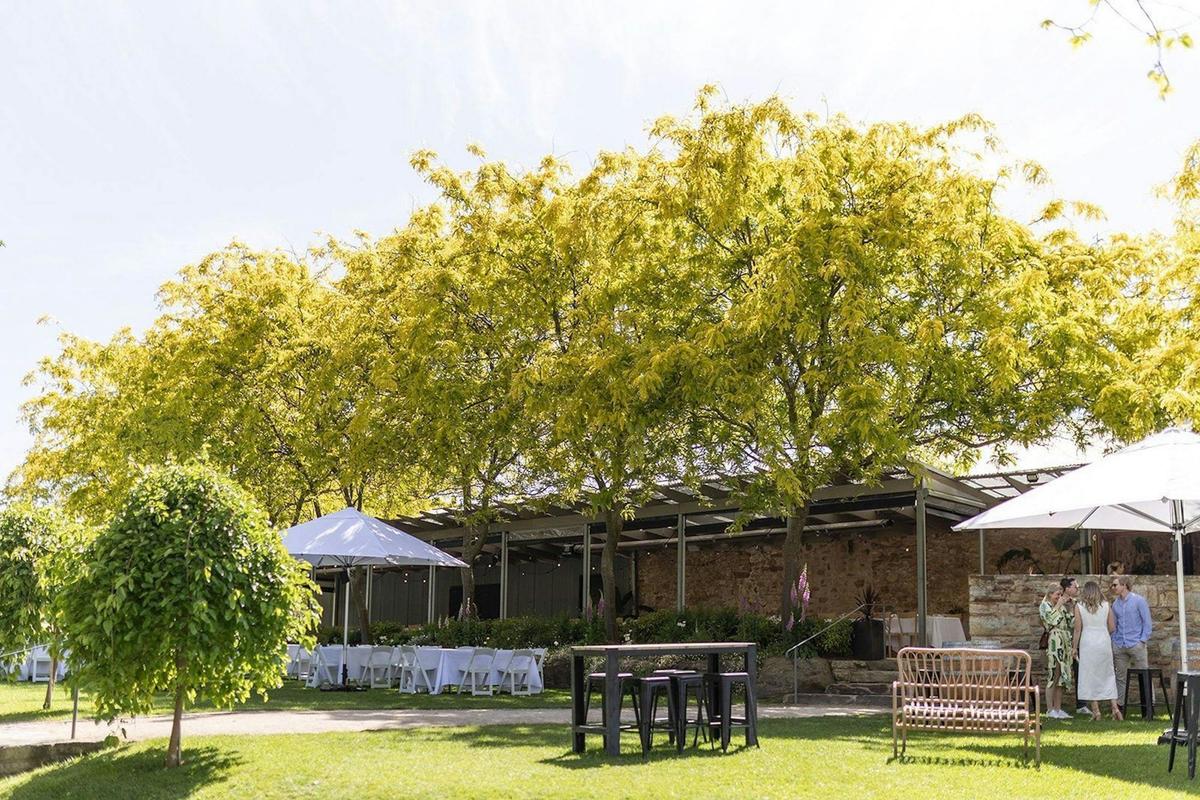 Helicopter Wine Hop - Option 3: 3 x Regions Langhorne Creek, McLaren Vale, Adelaide Hills